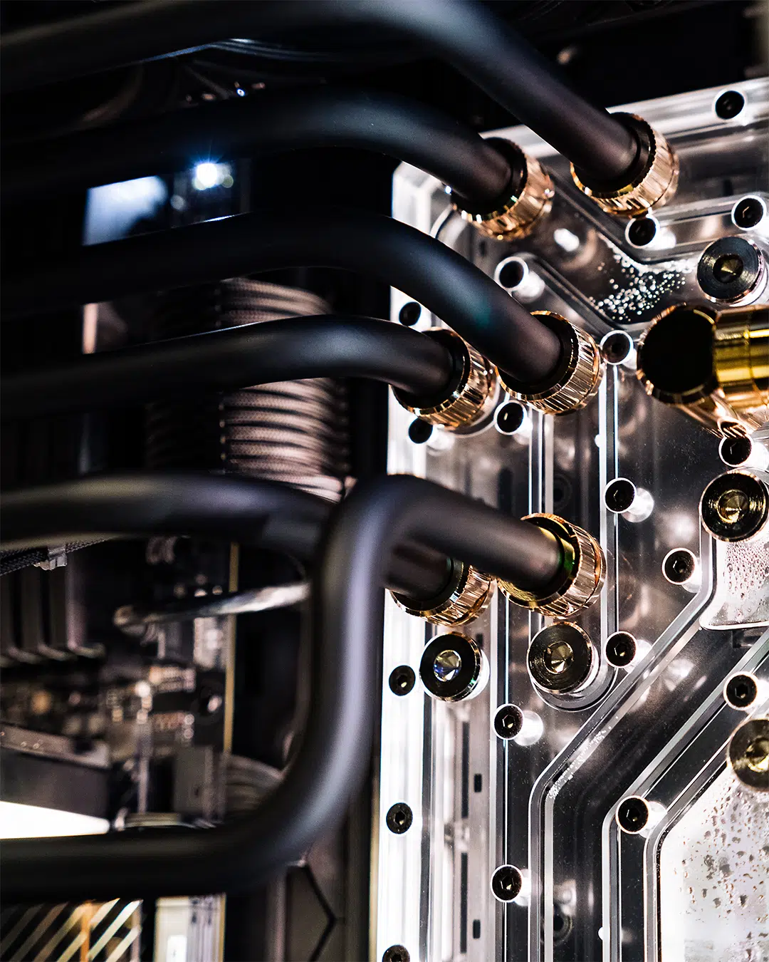 Tief Im Wald Car Meetup 5