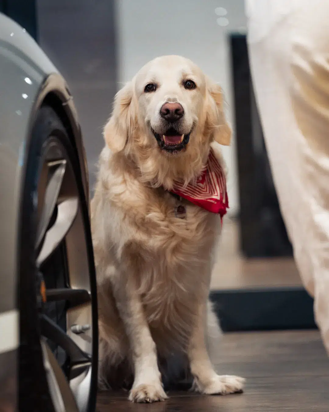 Hundebesuch auf dem MYLE 2024